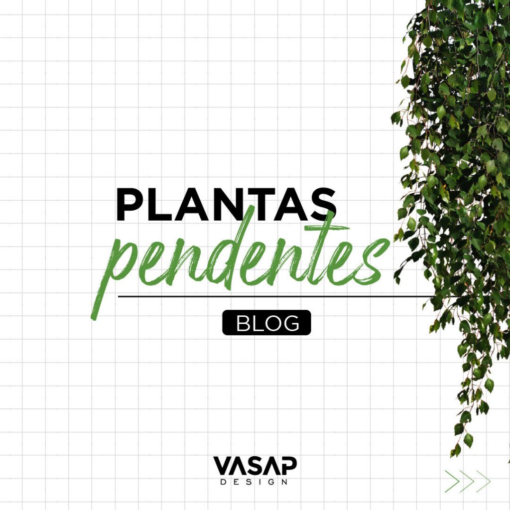 Plantas pendentes: Guia para escolher, plantar e cultivar a sua pendente em vasos.