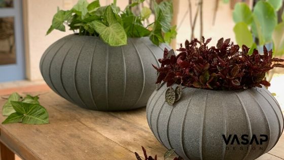 3 Passos simples para reproduzir plantas do seu jardim.