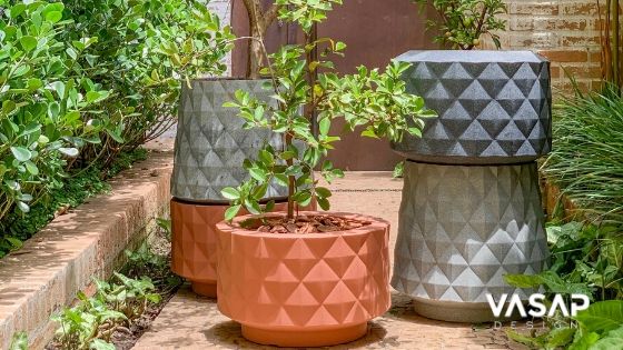 Frutífera em vaso: pode ou não pode? Aprenda a plantar!