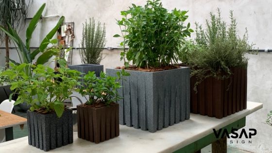 O que você precisa saber para ter uma horta em vasos