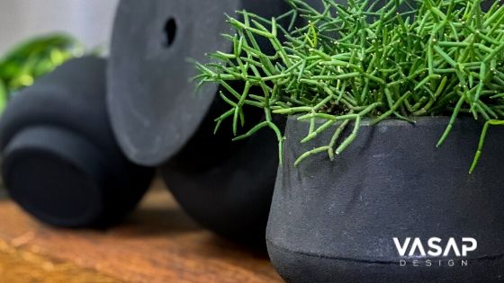 Qual a diferença entre vaso e cachepot ?