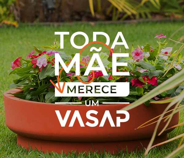 Plantas para presentear no Dia das Mães