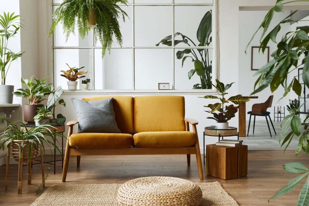 Plantas em Apartamento: opções para meia-sombra e sol