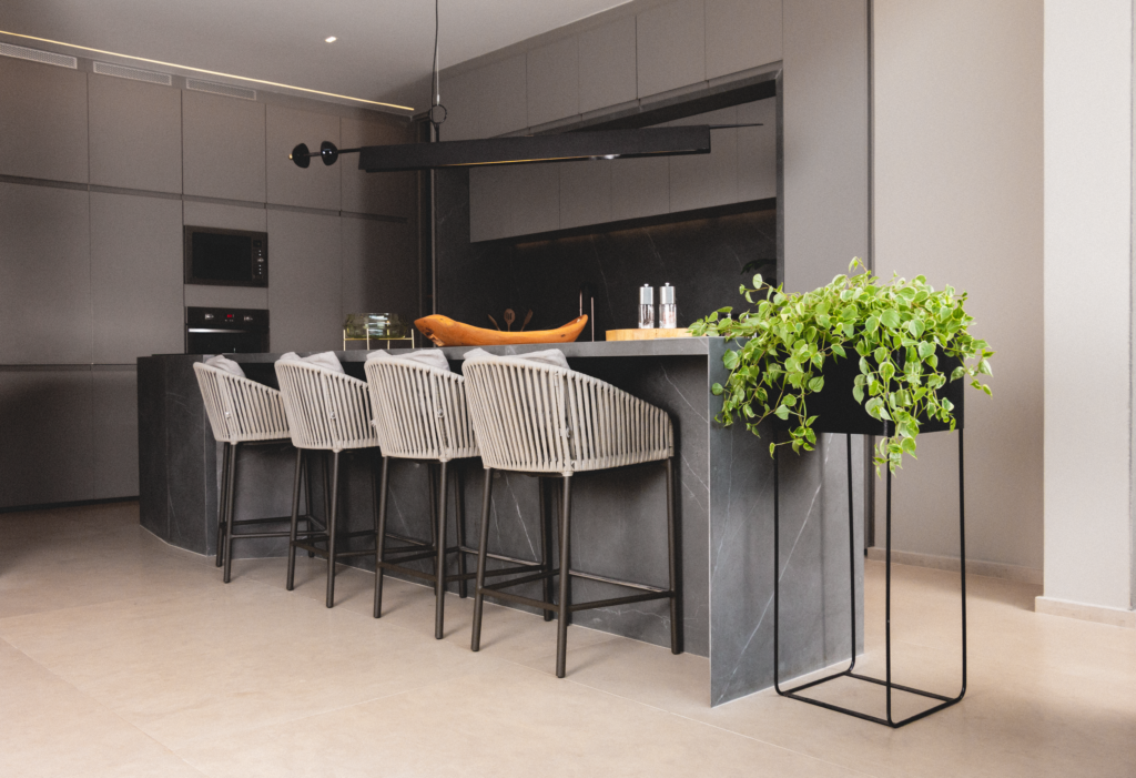 Tipos de Peperômias: 5 opções para cultivar