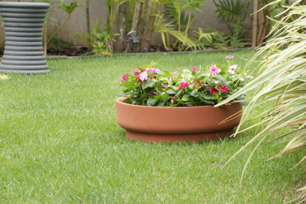 Como ter flores no jardim o ano todo