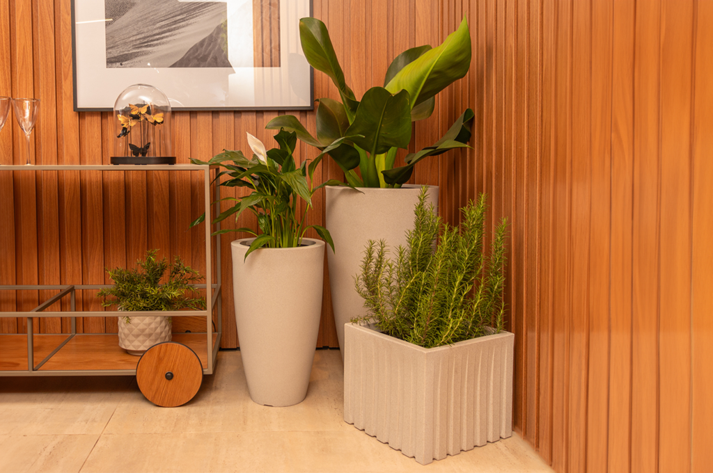 Descubra as Melhores Plantas para Atrair Boas Energias no Ano Novo