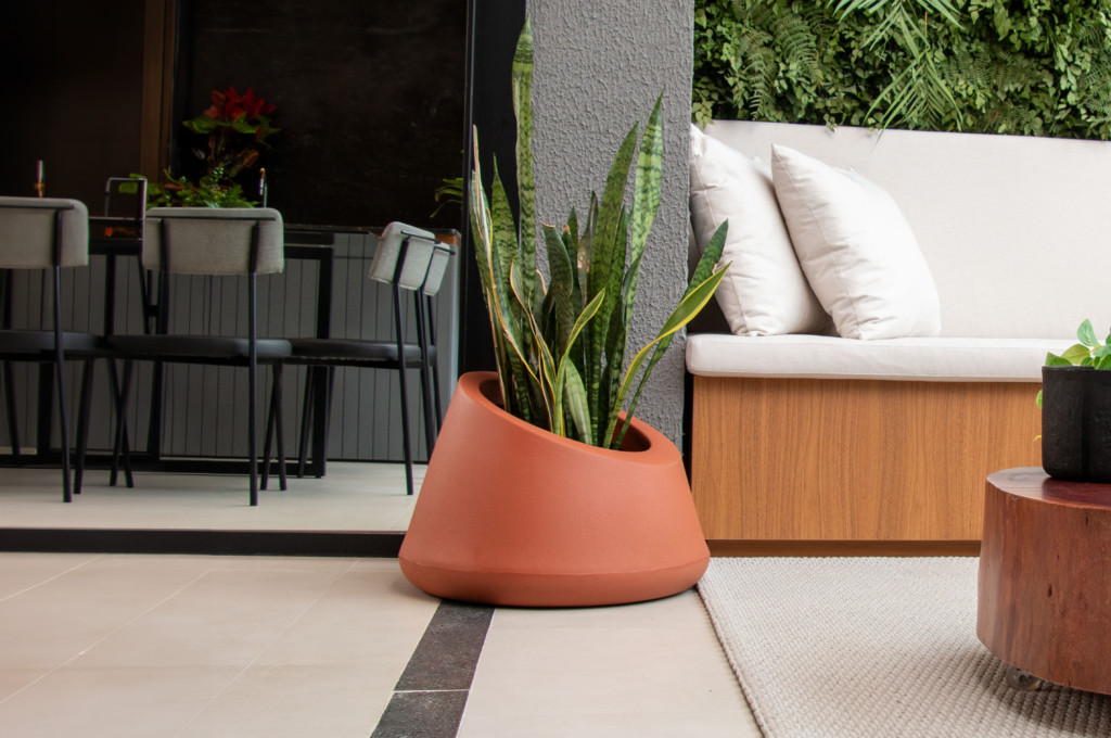 Guia de Replantio da Espada de São Jorge