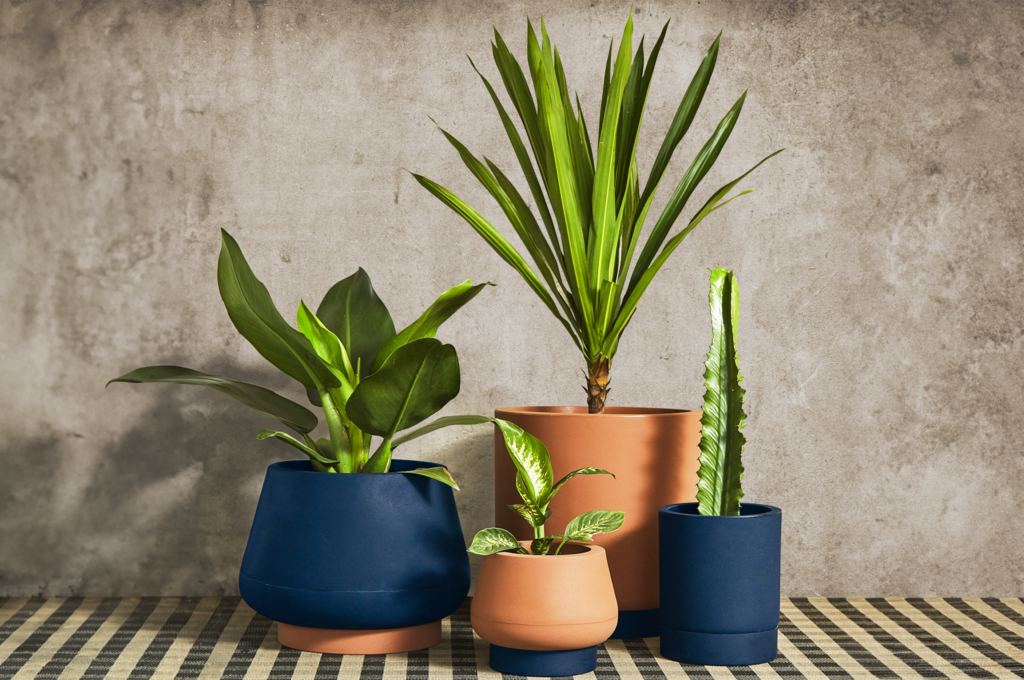 Dicas para deixar a casa mais colorida no verão