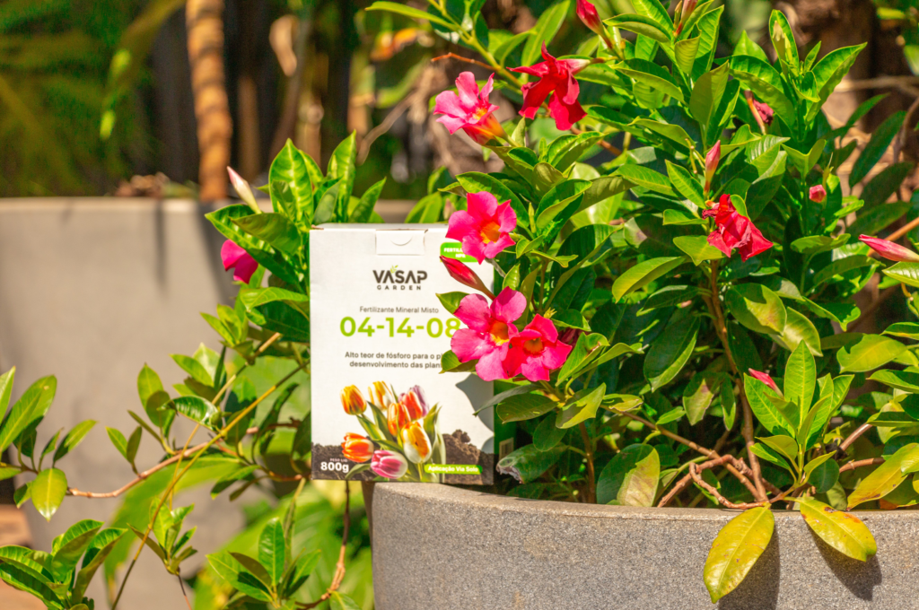 Qual adubação escolher? Via solo ou foliar