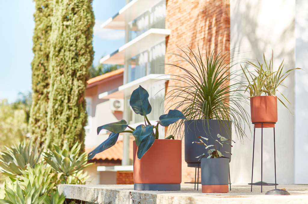 Guia completo: como montar um jardim pequeno dentro e fora de casa