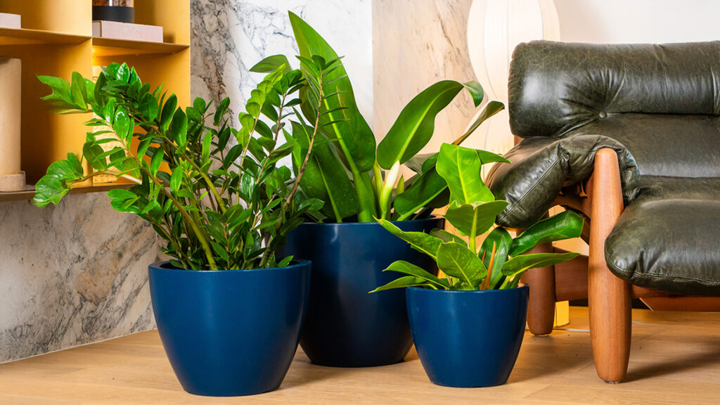 Como Escolher o Vaso Ideal para Cada Planta e Ambiente