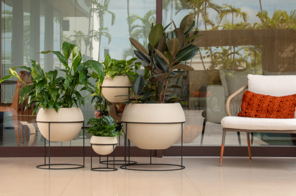 Como plantar em vasos: veja o passo a passo