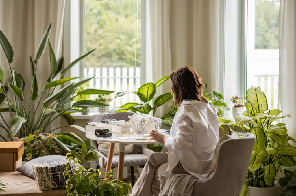 10 plantas que não precisam de sol