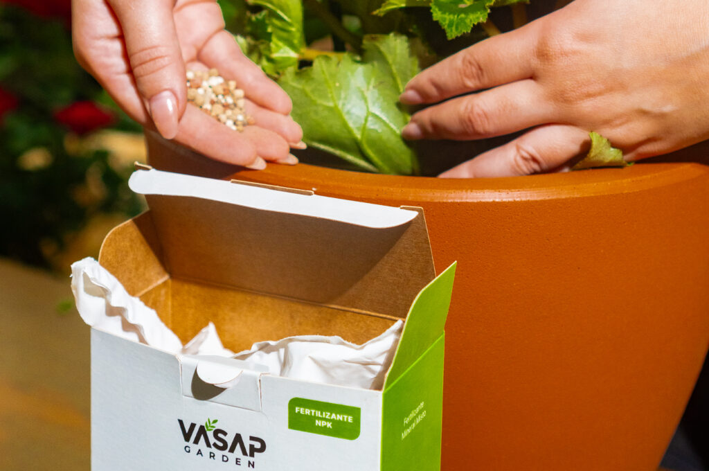 Adubação e Fertilização: Tudo sobre como adubar suas plantas corretamente