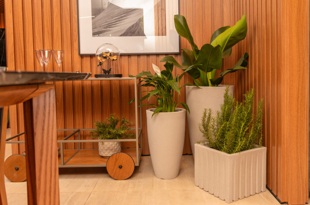 Como cuidar de plantas em vasos: rega, adubação e manutenção