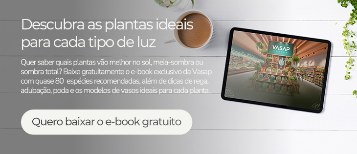Guia visual de cuidados para plantas de sol, meia-sombra e sombra da Vasap.
