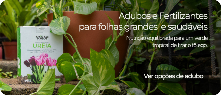 Fertilizante 10-10-10 ao lado da Costela de Adão.