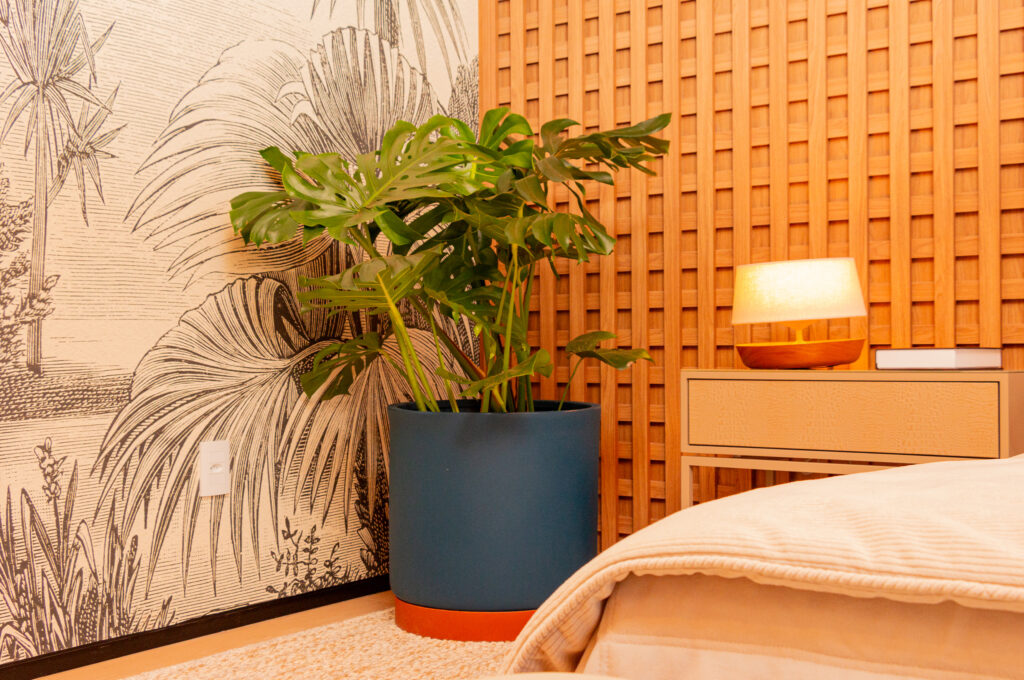 Costela de Adão em um vaso Vasap posicionada perto da janela recebendo luz indireta.