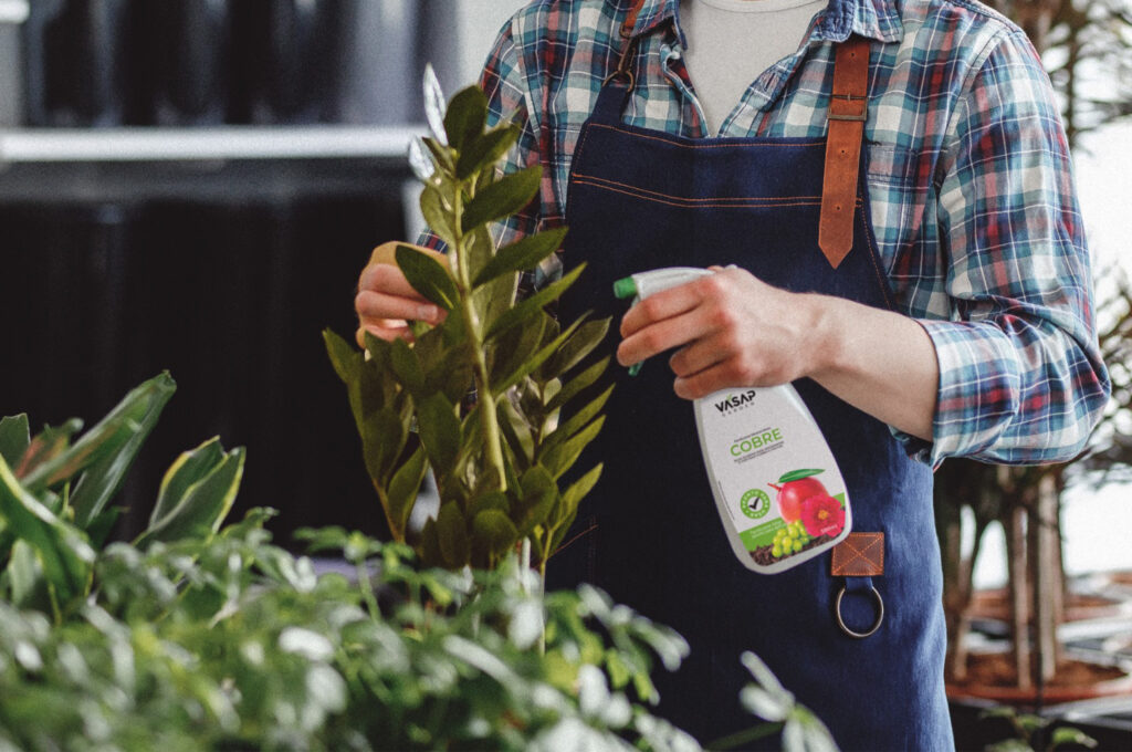 Guia completo de adubação e fertilização: como nutrir suas plantas da forma certa
