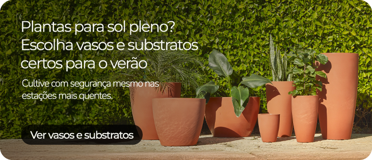 Vasos terracota com plantas de sol pleno posicionados ao ar livre diante de uma cerca viva.