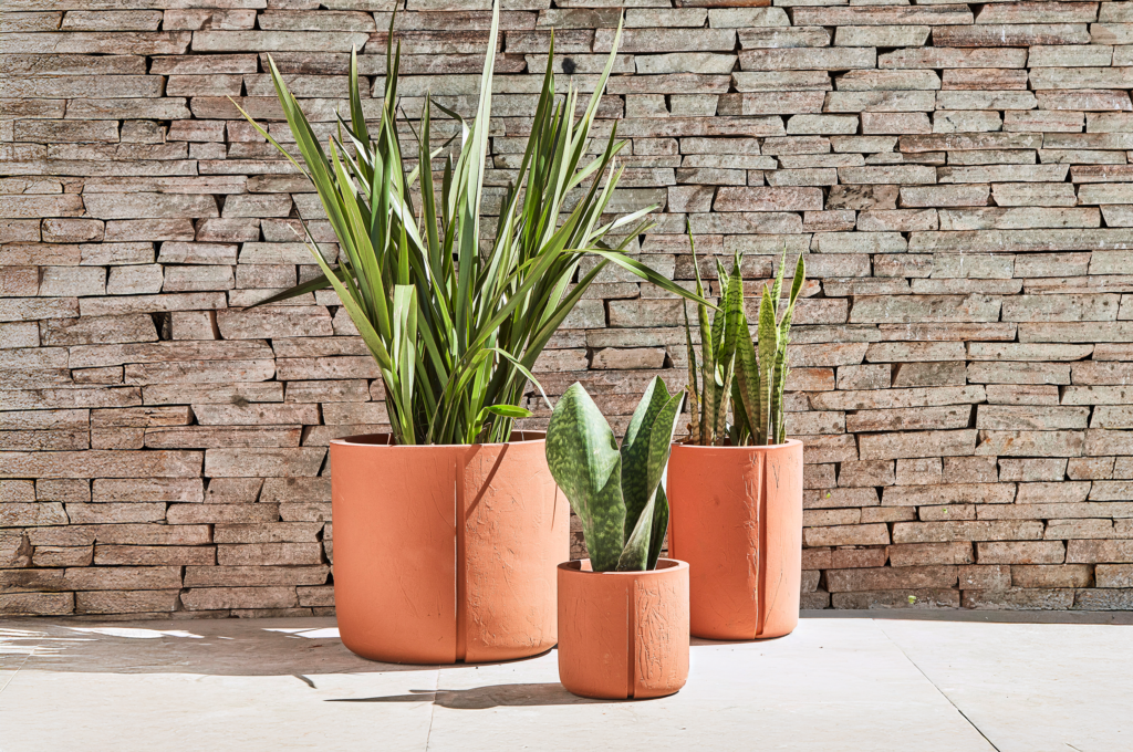 10 plantas resistentes ao sol direto para ter na varanda ou jardim