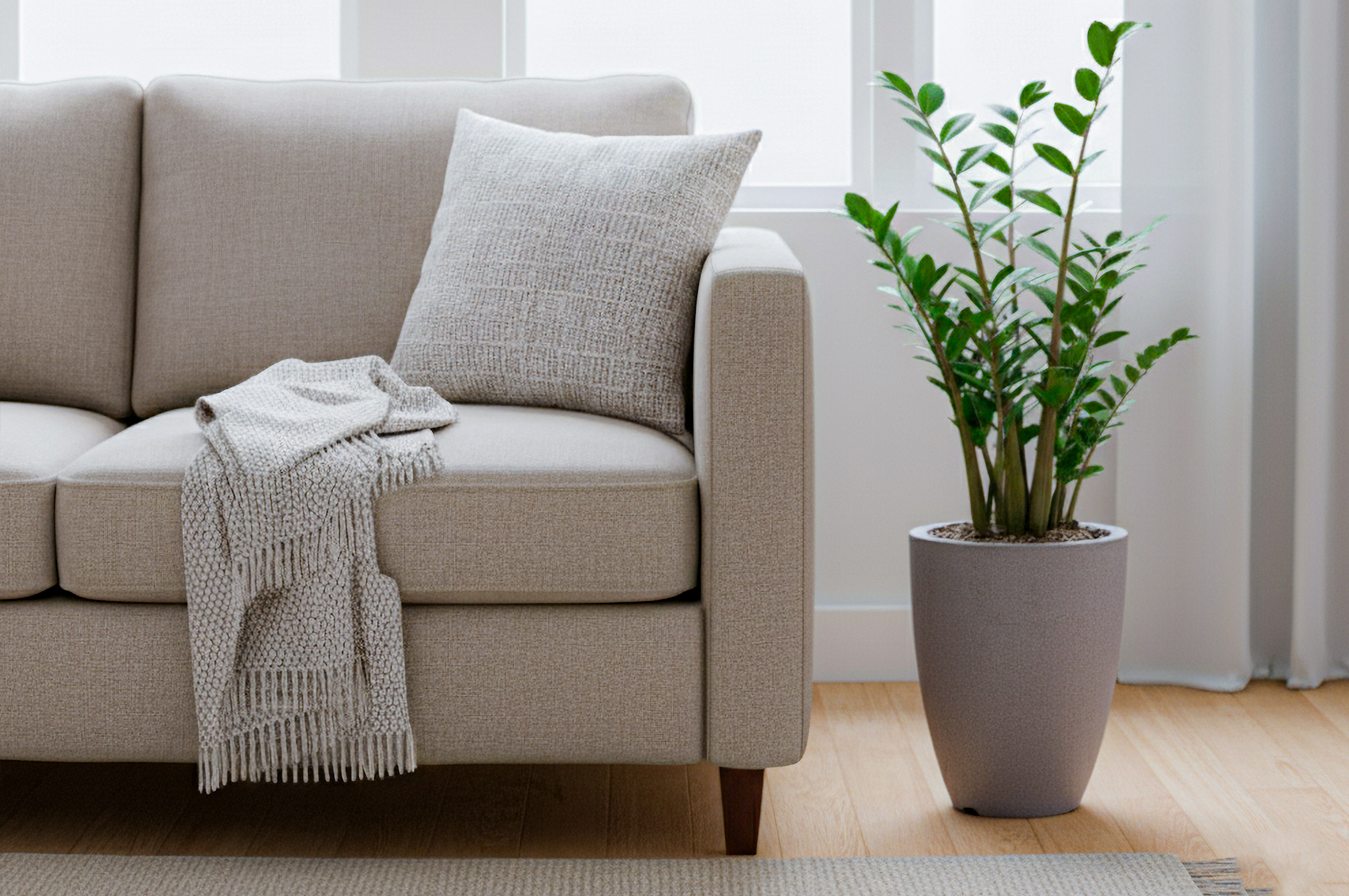 amioculca em vaso decorativo.