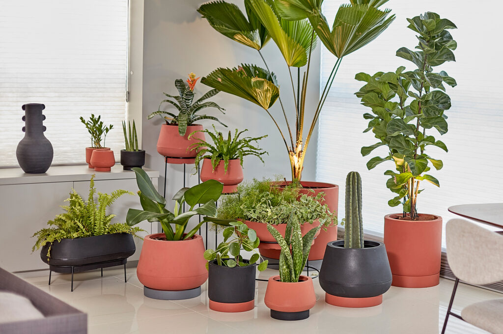Tamanho do vaso de planta: como escolher o ideal para cada espécie