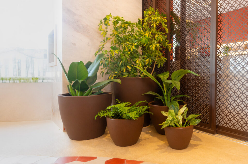 Urban jungle em casa: como criar uma selva urbana (mesmo em apartamento)