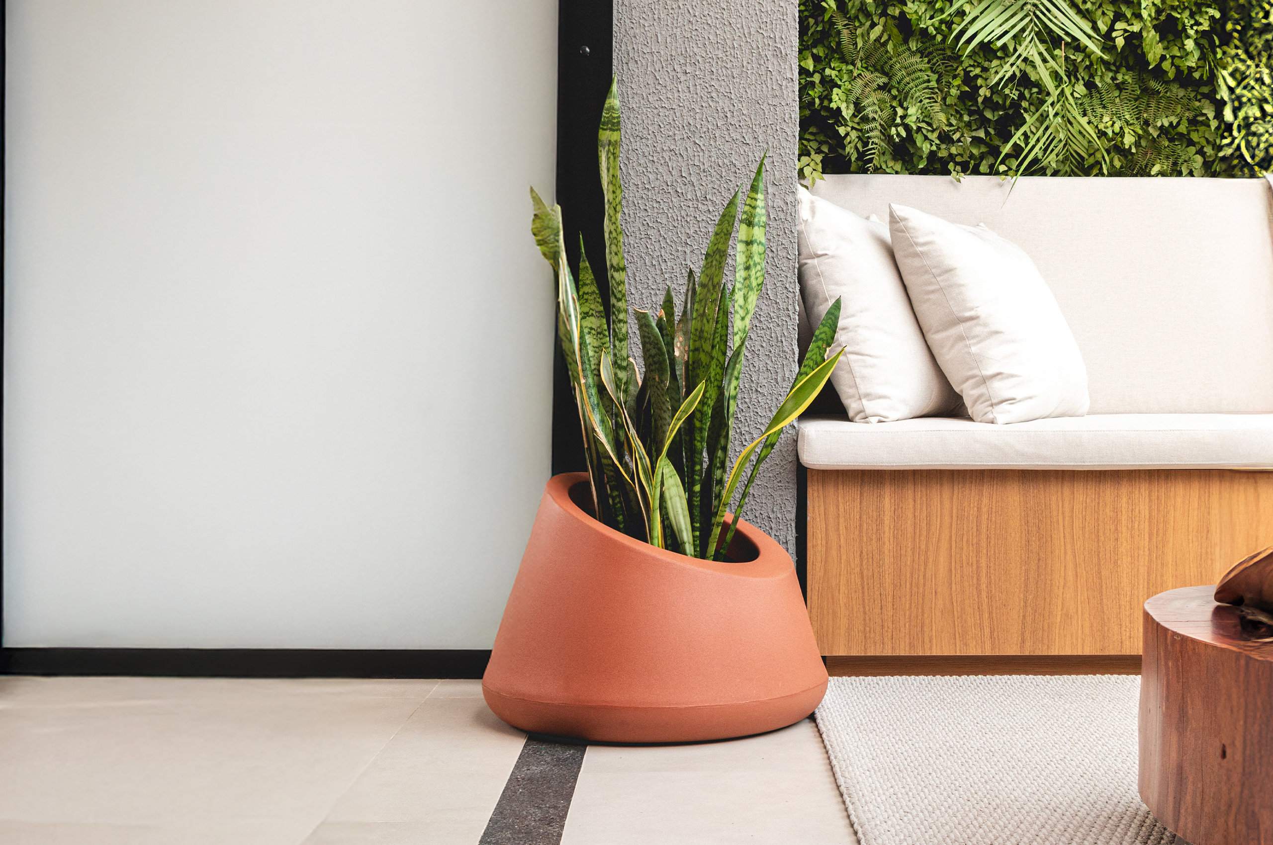 Espada de São Jorge em vaso decorando sala moderna.