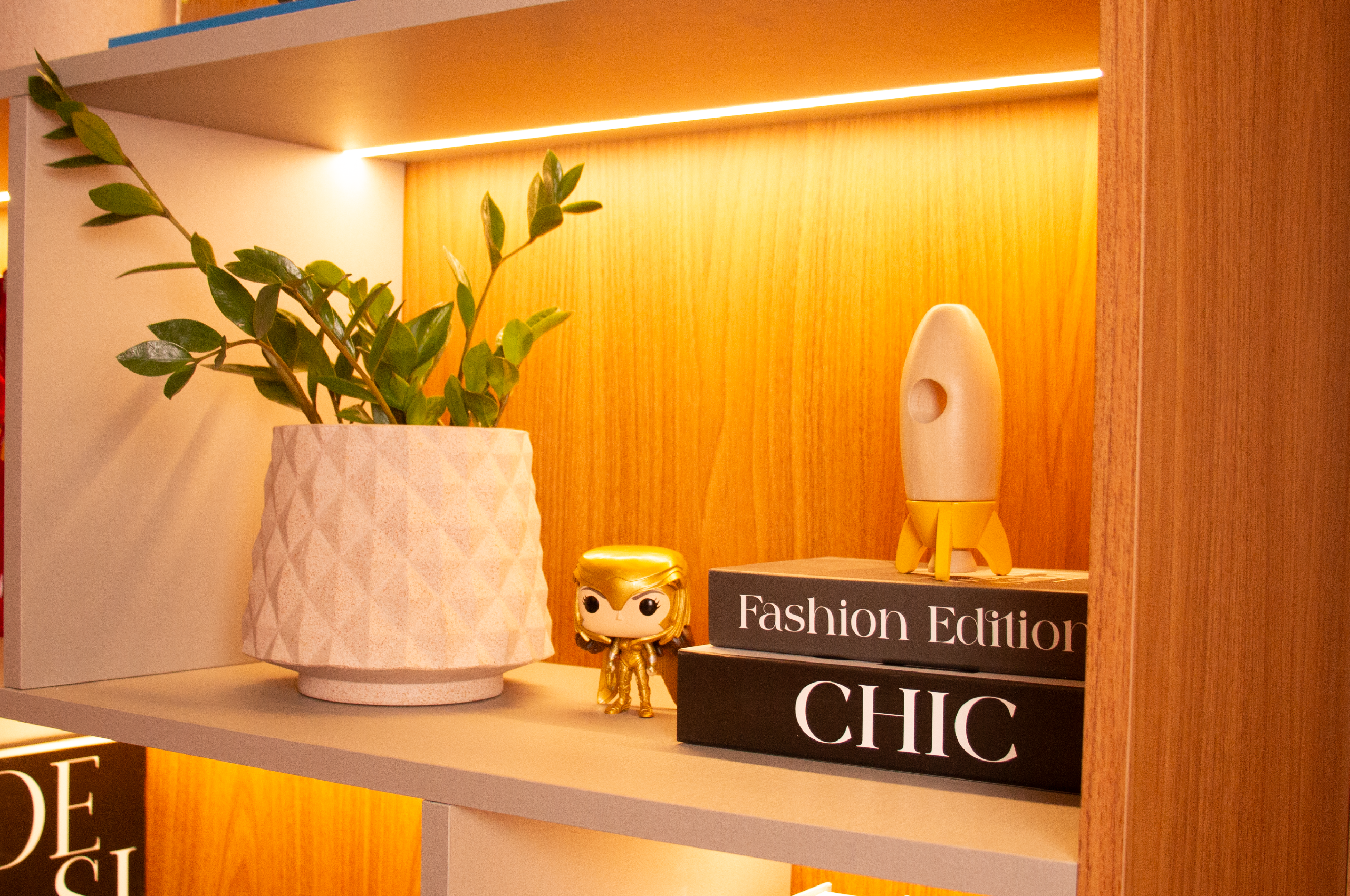 plantas pequenas decorando mesas e prateleiras