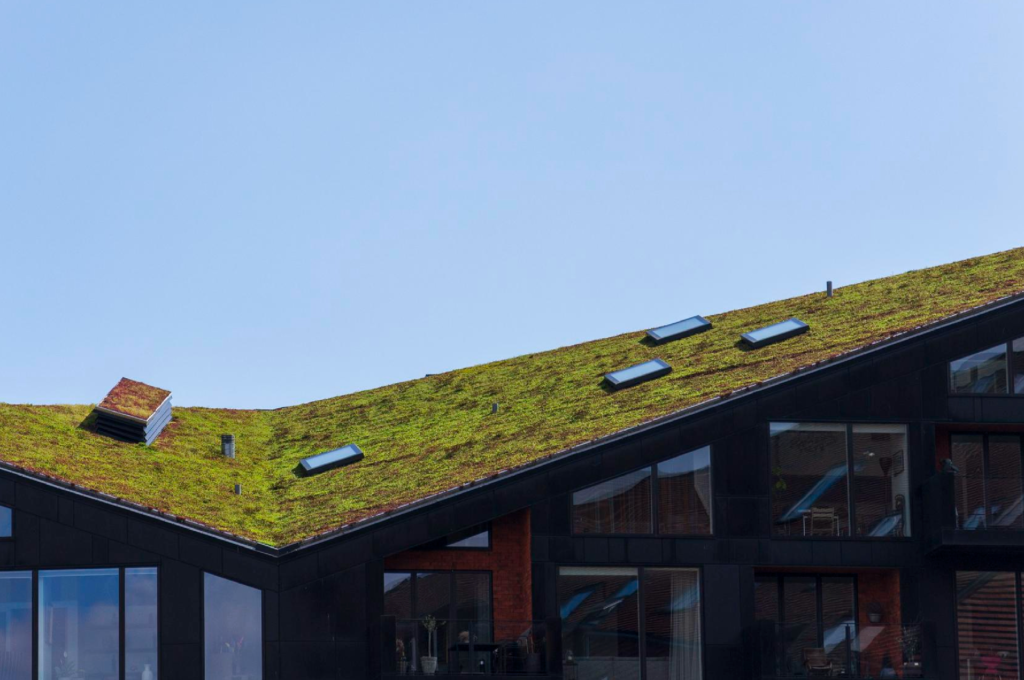 telhado verde com plantas para reduzir o calor