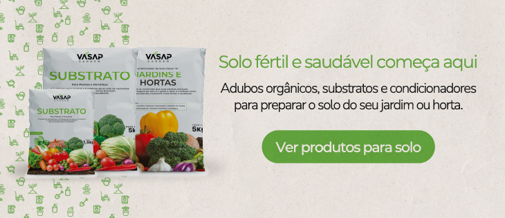 substrato para plantas medicinais em vaso