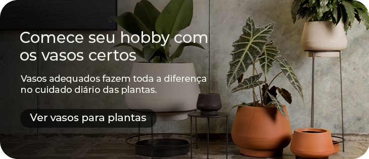 vasos com drenagem para ervas medicinais