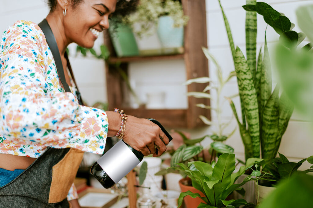 plantas domésticas saudáveis em vasos com drenagem dentro de apartamento