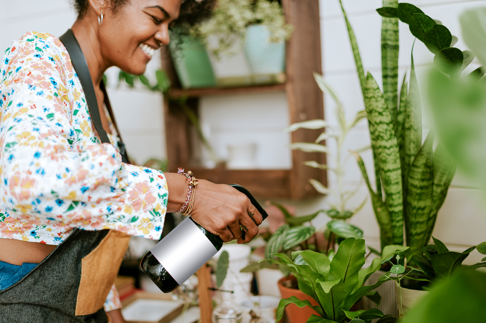plantas domésticas saudáveis em vasos com drenagem dentro de apartamento