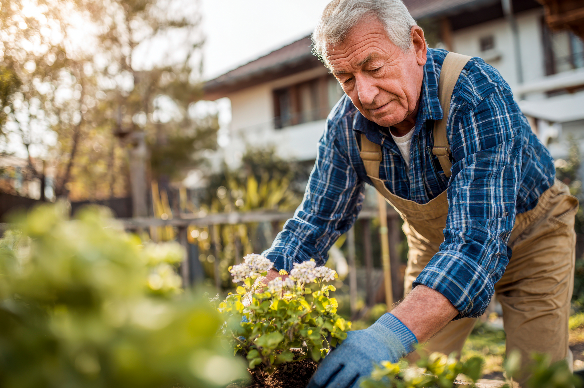 cuidar de plantas como hobby em casa