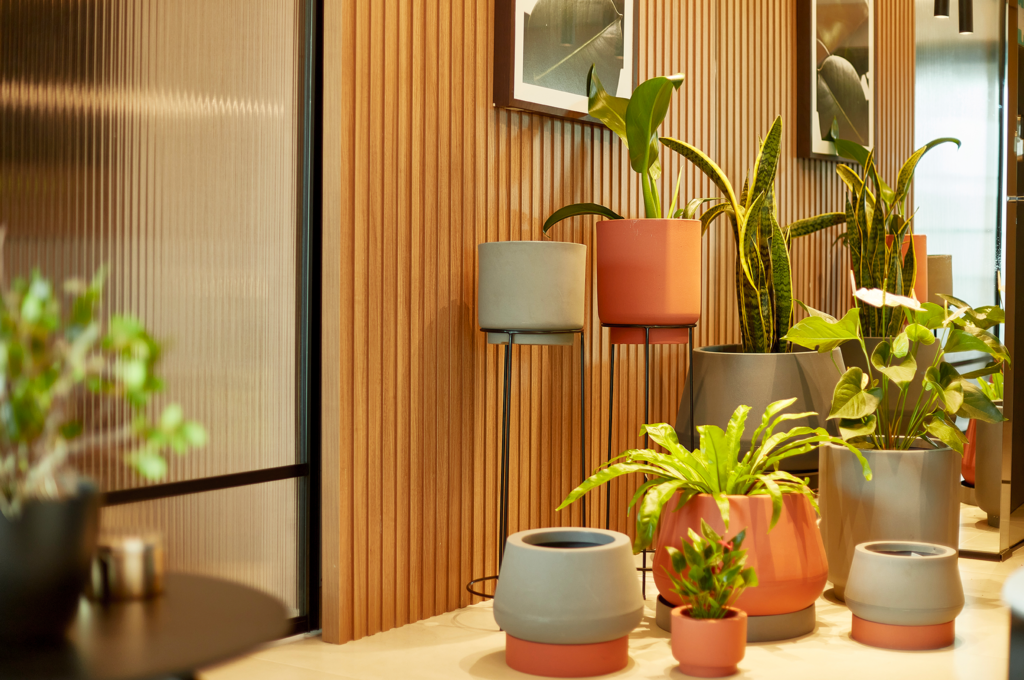 plantas em vasos para ambientes internos decorando sala moderna